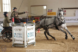 11.2.2017 - spřežení Slatiňany