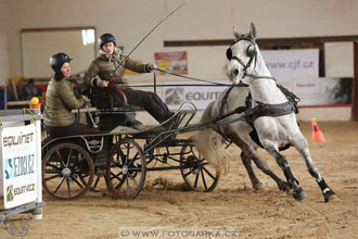 11.2.2017 - spřežení Slatiňany