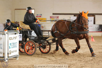 11.2.2017 - spřežení Slatiňany