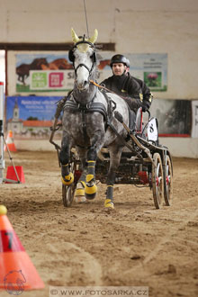 11.2.2017 - spřežení Slatiňany