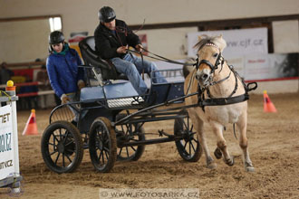 11.2.2017 - spřežení Slatiňany