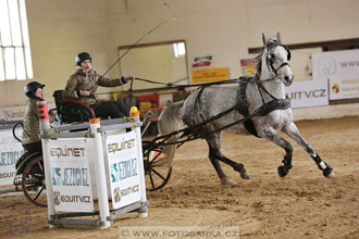 11.2.2017 - spřežení Slatiňany