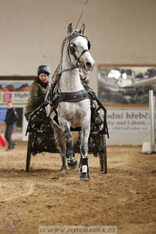 11.2.2017 - spřežení Slatiňany