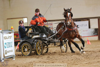 11.2.2017 - spřežení Slatiňany