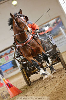 11.2.2017 - spřežení Slatiňany