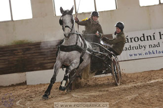 11.2.2017 - spřežení Slatiňany