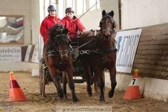 11.2.2017 - spřežení Slatiňany