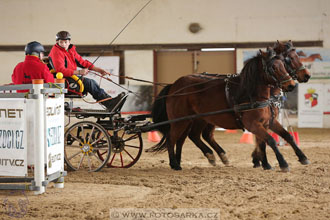 11.2.2017 - spřežení Slatiňany