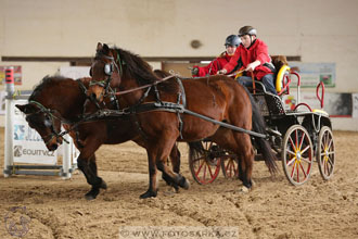 11.2.2017 - spřežení Slatiňany