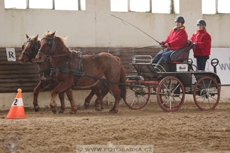 11.2.2017 - spřežení Slatiňany
