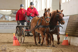 11.2.2017 - spřežení Slatiňany