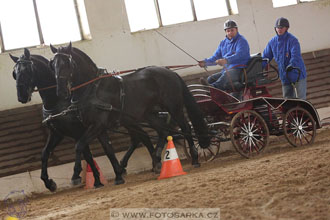 11.2.2017 - spřežení Slatiňany