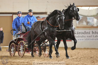 11.2.2017 - spřežení Slatiňany