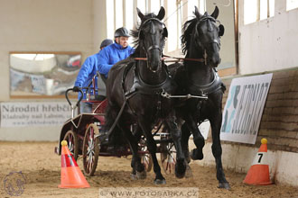 11.2.2017 - spřežení Slatiňany