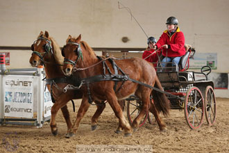 11.2.2017 - spřežení Slatiňany