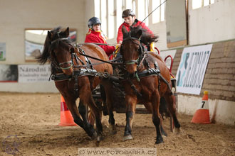 11.2.2017 - spřežení Slatiňany