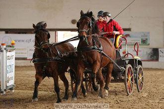 11.2.2017 - spřežení Slatiňany