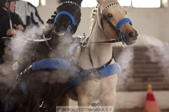 11.2.2017 - spřežení Slatiňany