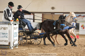 11.2.2017 - spřežení Slatiňany