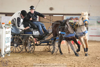 11.2.2017 - spřežení Slatiňany
