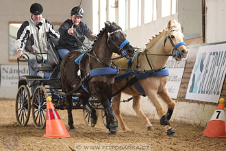 11.2.2017 - spřežení Slatiňany