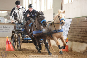 11.2.2017 - spřežení Slatiňany