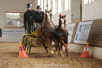 11.2.2017 - spřežení Slatiňany