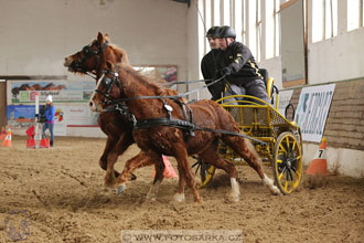 11.2.2017 - spřežení Slatiňany