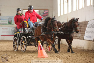 11.2.2017 - spřežení Slatiňany