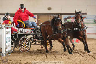 11.2.2017 - spřežení Slatiňany