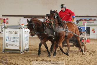 11.2.2017 - spřežení Slatiňany