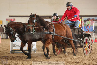 11.2.2017 - spřežení Slatiňany