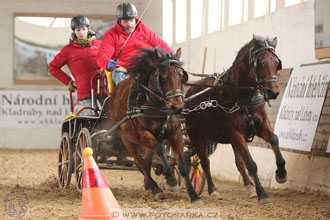 11.2.2017 - spřežení Slatiňany