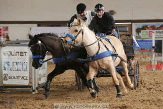 11.2.2017 - spřežení Slatiňany