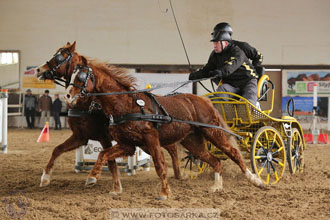 11.2.2017 - spřežení Slatiňany