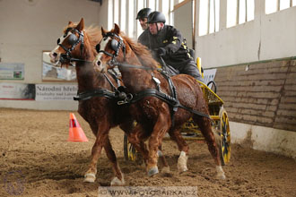 11.2.2017 - spřežení Slatiňany