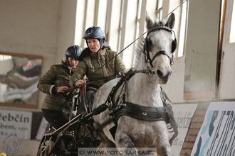 11.2.2017 - spřežení Slatiňany