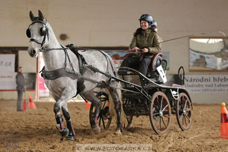11.2.2017 - spřežení Slatiňany