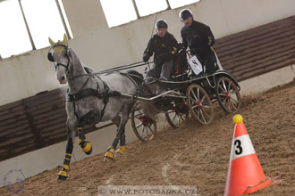 11.2.2017 - spřežení Slatiňany