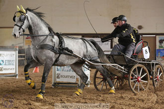 11.2.2017 - spřežení Slatiňany