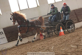 11.2.2017 - spřežení Slatiňany