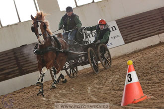 11.2.2017 - spřežení Slatiňany
