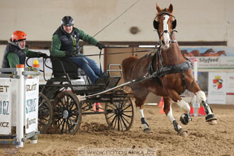 11.2.2017 - spřežení Slatiňany