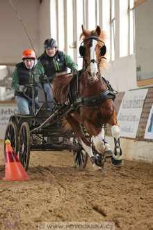 11.2.2017 - spřežení Slatiňany