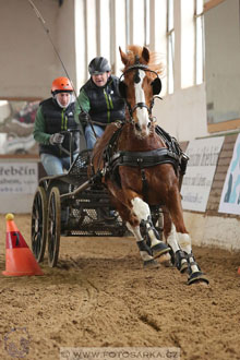 11.2.2017 - spřežení Slatiňany