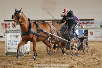 11.2.2017 - spřežení Slatiňany