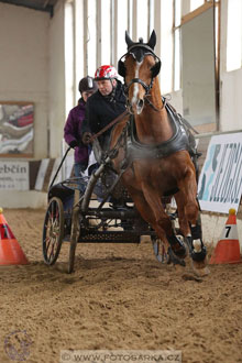 11.2.2017 - spřežení Slatiňany