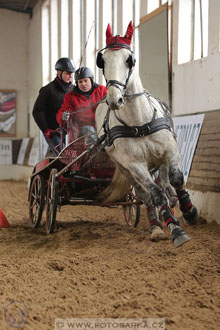 11.2.2017 - spřežení Slatiňany