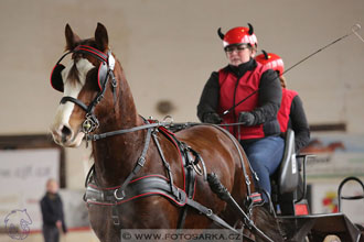 11.2.2017 - spřežení Slatiňany