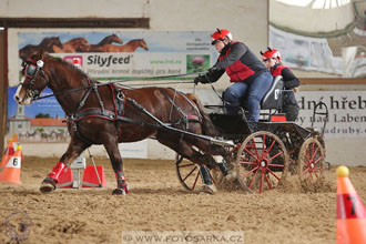 11.2.2017 - spřežení Slatiňany